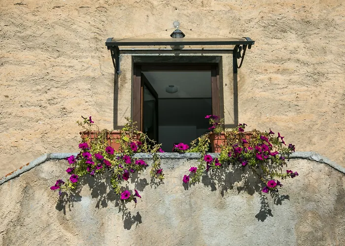皇家居住城堡酒店
