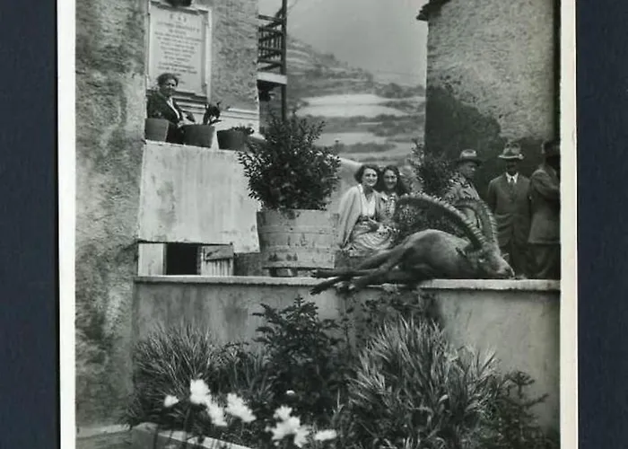 公寓式酒店 皇家居住城堡酒店 科涅